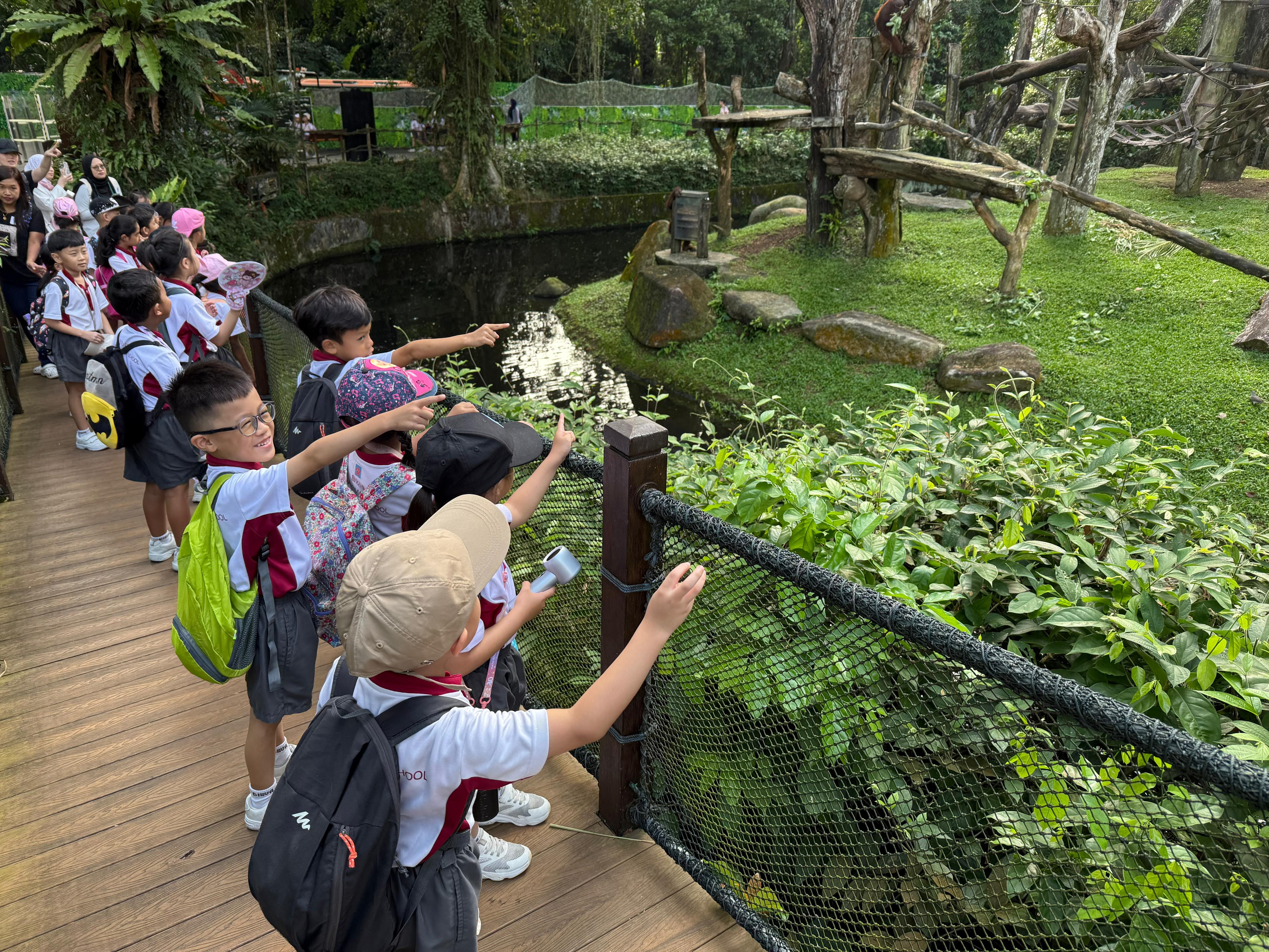 P1 student learning journey to zoo